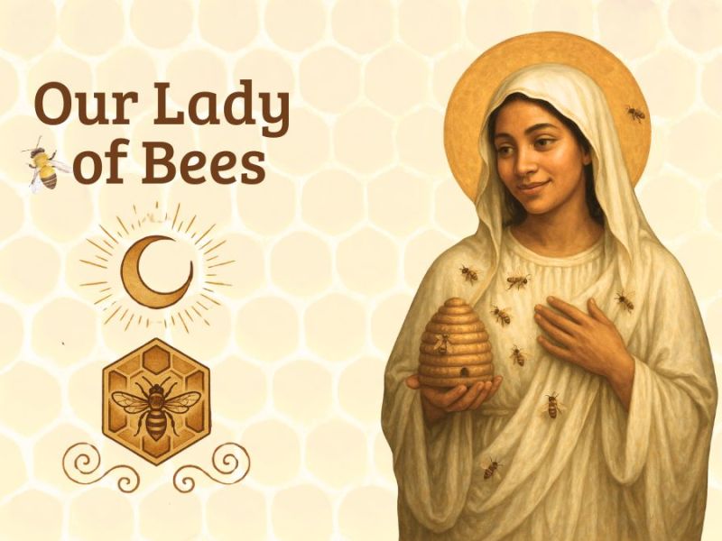 Our Lady of the Bees: An Invitation to Community, Care &&nbsp;Joy