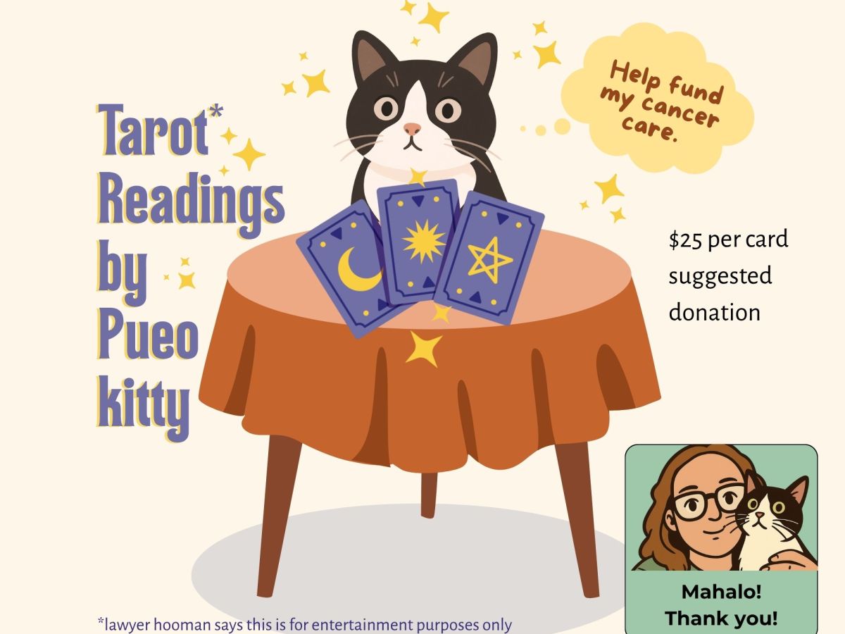 The (Extra)ordinary Tarot Reading Cat&nbsp;(Fundraiser)